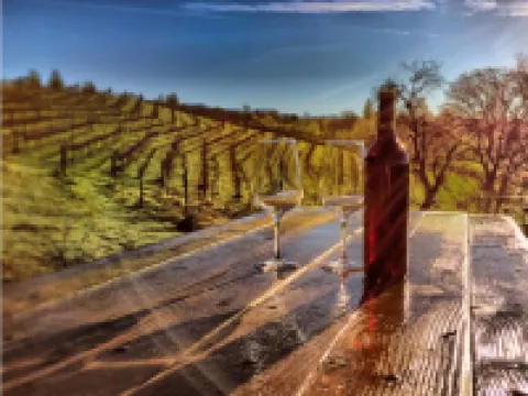 Papillon Cellars - the Loft Hotels in Mariposa
