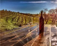 Papillon Cellars - the Loft