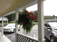 Briarcliff Motel - Bergblick