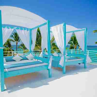 Punta Cana Ocean View Penthouse - the Best Dominican Ocean View Others