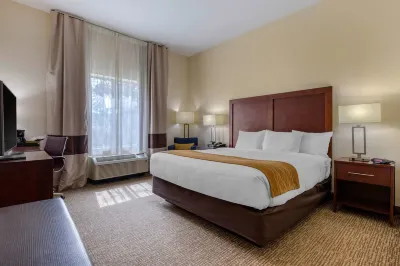 Comfort Inn & Suites Các khách sạn gần Camden Wing Shack