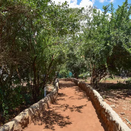 Olkeri chalete