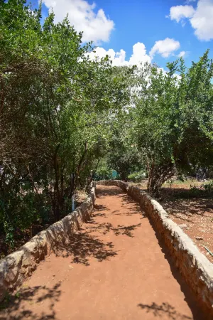 Olkeri chalete Отели в г. Кизериан