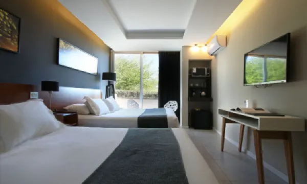 德爾山松樹林度假村及套房