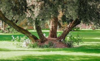 Riad le Jasmin