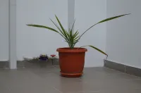 Alexys Residence 4
