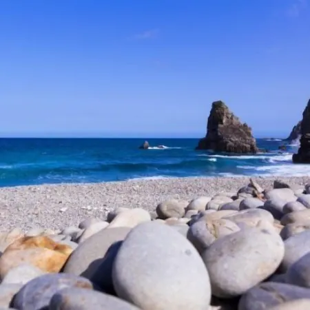 Amami Oshima Guest House Showa-Sou - Hostel