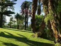Royal Hotel Sanremo Hotels near Villa Nobel