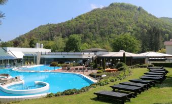 Hotel Tannenhof