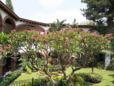 Hotel Vista Hermosa Отели рядом с достопримечательностью «Casa mejia»