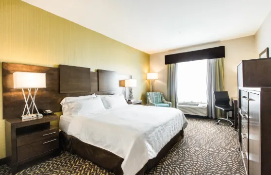 斯普魯斯格羅夫智選假日套房酒店-斯託尼平原