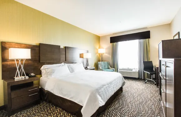 斯普魯斯格羅夫智選假日套房酒店-斯託尼平原