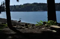 The Heron House فنادق في أولمبيا