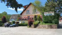 A l'Arbre Vert Hotels in Osenbach