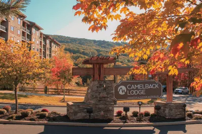 Camelback Lodge & Aquatopia Indoor Waterpark Hotels in Pocono