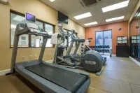 Hilton Garden Inn Lynchburg - Gym