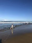 Mermaid Beach Park View
