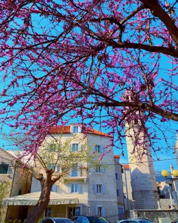 Benjamin Hotel Отели рядом с Аэропорт Сплит