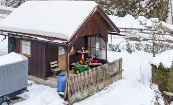 Apartment Feld am See Near Ski Slopes