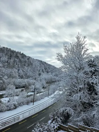 Lamira - Serviced Apartments Отели в г. Цюрих