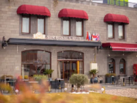Sur Royal's Hotel Hotels in Diyarbakir
