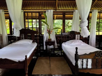 Hacienda Río Oro Hotels in Пуэрто Хименес
