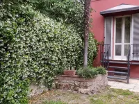 B&B Rossierossi Hotels in Terni
