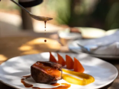 Euphorbia Mashatu 博博農酒店