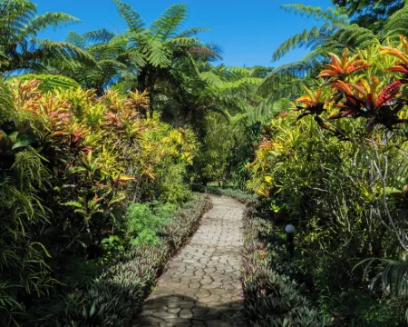 斐濟神聖花園 恩加梅阿島酒店