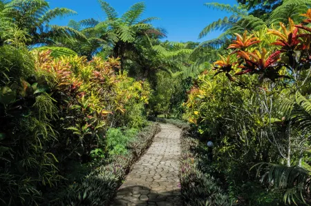 Sacred Garden Fiji Отели в г. Тавеуни