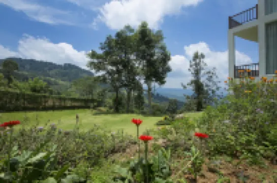 Villa Vajrapani Hotels in 