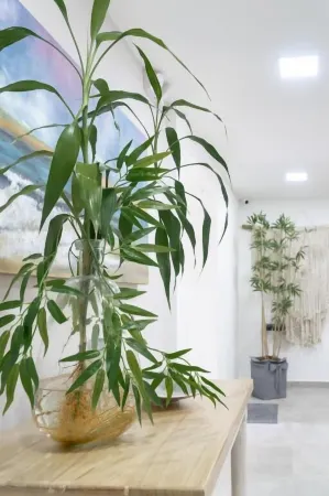 Hotel Bambu Milla de Oro Отели рядом с достопримечательностью «Plaza de Toros La Macarena»