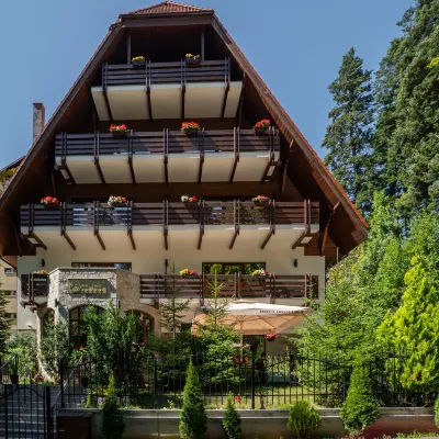 Opus Villa Hotels near Peles Castle