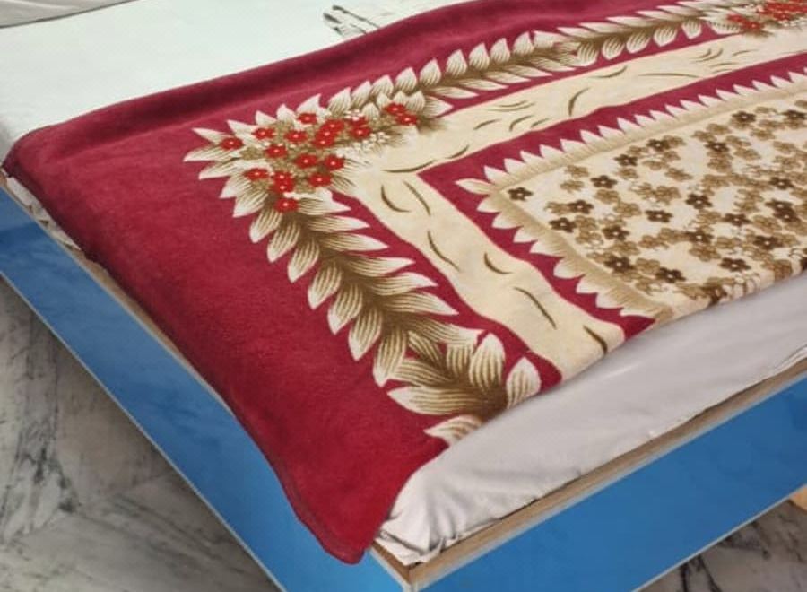 호텔 마하라자 노이다