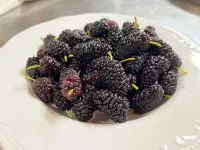 Locanda di Federico Hotels in Pennabilli