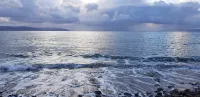 Bocamviglies by the Sea