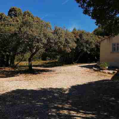House / Villa -Bedoin Mont Ventoux Hotel Exterior