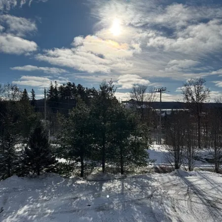 Lake view lux condo beside Deerhurst/ski/golf/lake