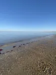 Maison Ile de Ré à 600 Mètres de la Plage et en Bordure D'un par Ornithologique Отели рядом с достопримечательностью «The Lighthouse of L'ile de Re»