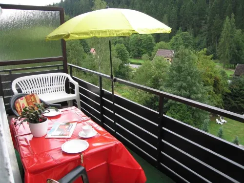 Vacation apartment with large balcony Hotels in Wildemann