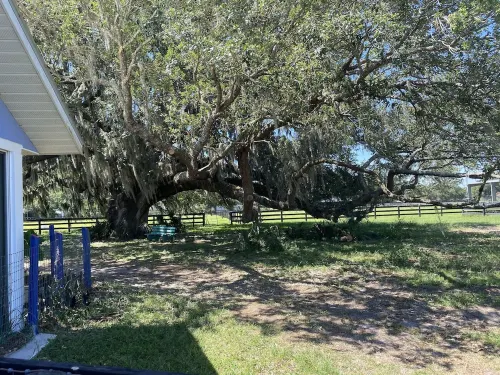 Pet friendly Cottage with Pool on Horse Farm, EV Charger, near Chi, WEC