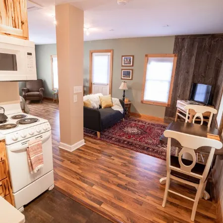 Newly remodeled, private, sunny downtown apartment; near restaurants & shopping.