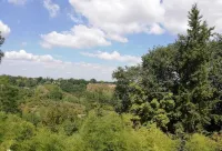 In Chianti along the Francigena - La Voliera Country House