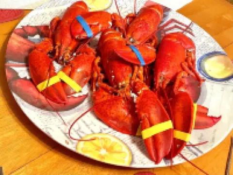 Available: Spring 2026 Rent Weekly/Monthly. Come & Enjoy NH Seacoast!