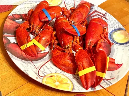 Available: Spring 2026 Rent Weekly/Monthly. Come & Enjoy NH Seacoast!