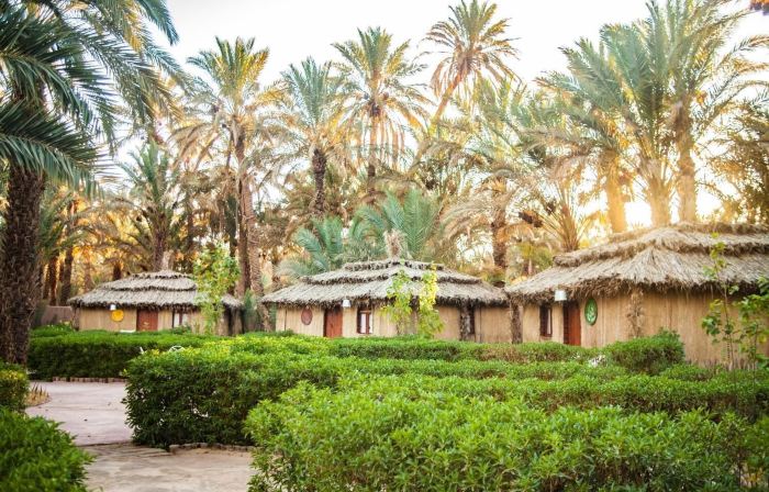 Riad Lamane