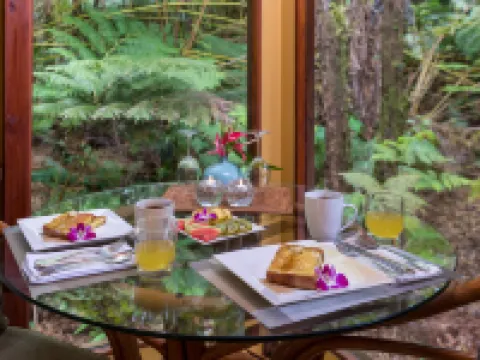 ボルケーノ ビレッジ ロッジ ボルケーノのホテル