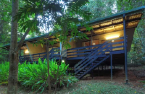Chambers Wildlife Rainforest Lodges
