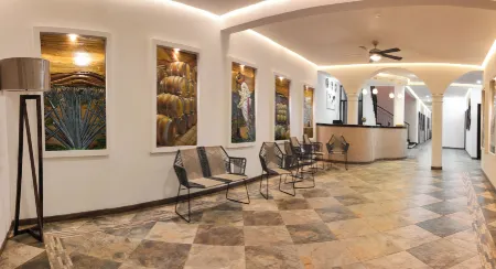 Hotel Nueve Agaves Отели в г. Текила