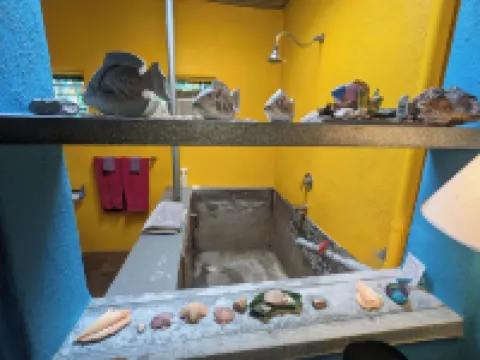 Pelican Spa Hotels in Truth or Consequences